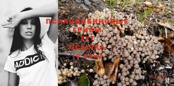 прущий лед Приозерск