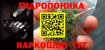 индика Балашиха