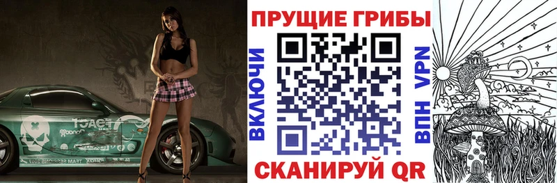 продажа наркотиков  Бугуруслан  Галлюциногенные грибы Magic Shrooms 