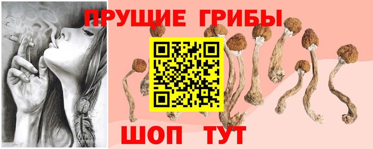 Псилоцибиновые грибы Psilocybe  Вход с VPN  Бугуруслан 